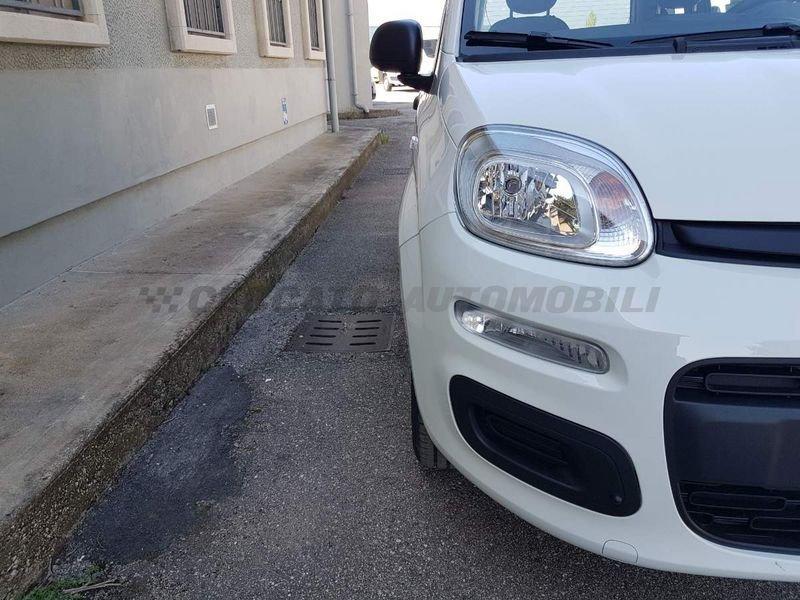 FIAT Panda Panda 1.0 firefly hybrid s&s 70cv
