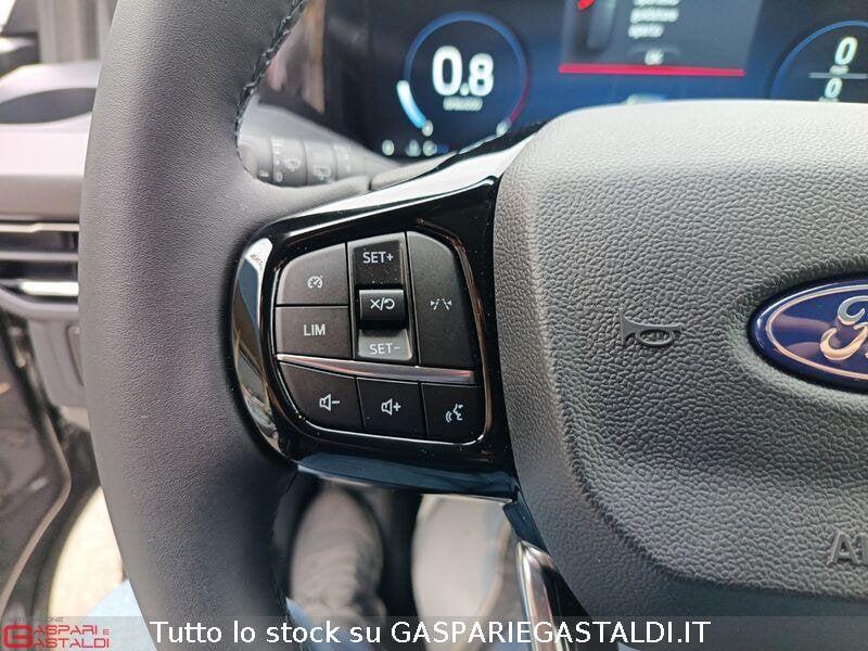 Ford Tourneo Custom Tourneo Custom 320 2.0 EcoBlue 170CV aut. PL Titanium 9 posti