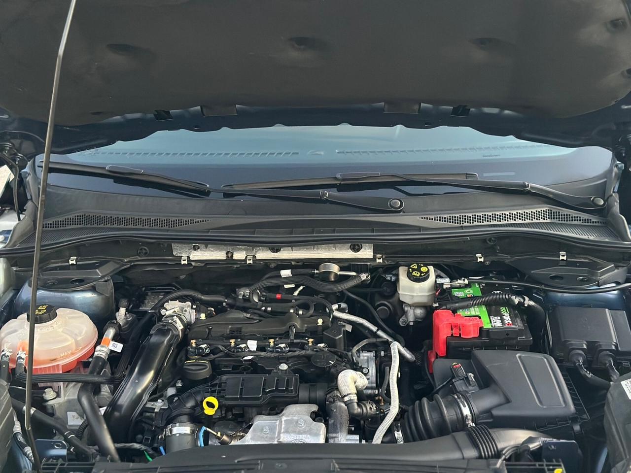 Ford Kuga 2021 1.5 120 CV aut. ST-Line DA VETRINA