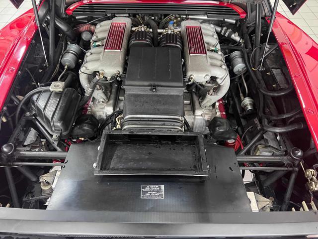 FERRARI Testarossa cat