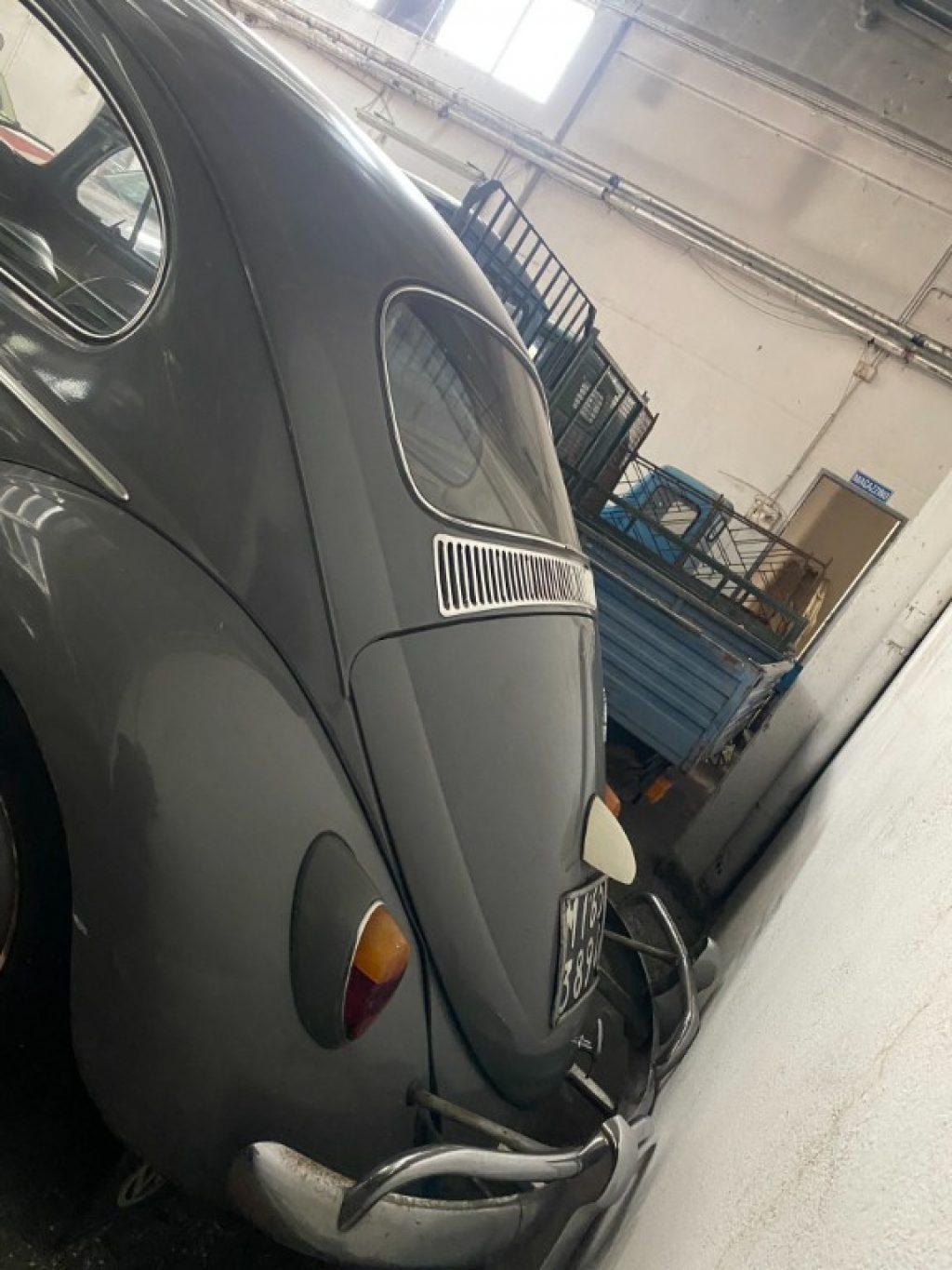 VOLKSWAGEN Maggiolone MAGGIOLONE