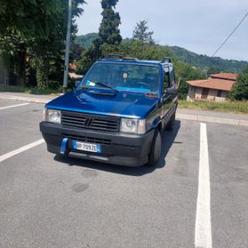 Fiat Panda 1100 i.e. cat Young