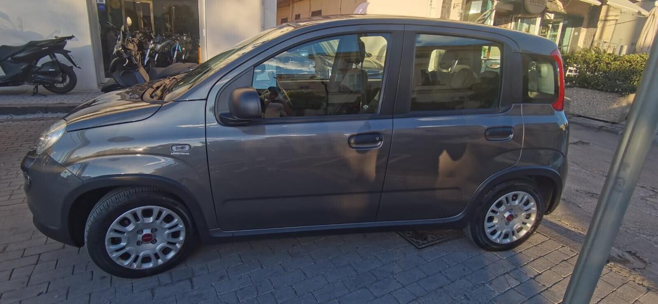 Fiat Panda 1.0 FireFly Hybrid City Life 2022 USATO