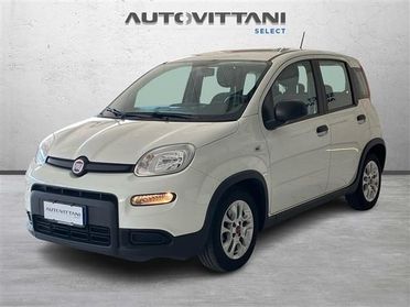 FIAT Panda 1.0 FireFly Hybrid 70cv City Life S&S 5p.ti