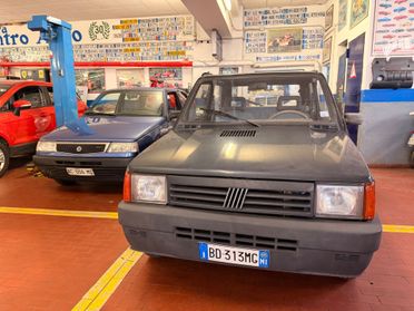 Fiat Panda 900 i.e. cat Young