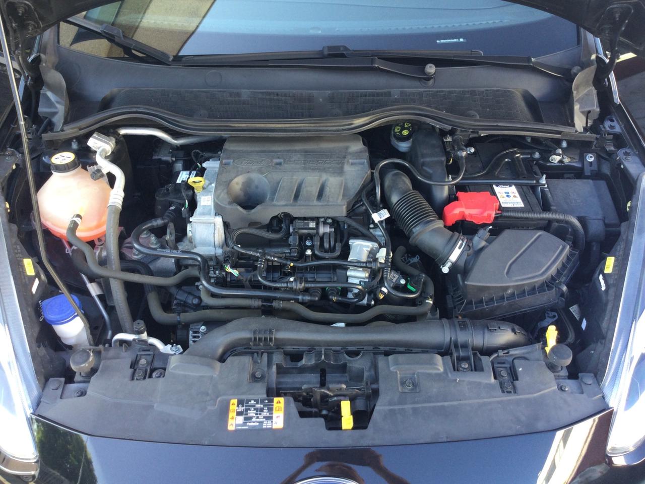 Ford Fiesta 1.0 Ecoboost Hybrid 125 CV 5 porte ST-Line