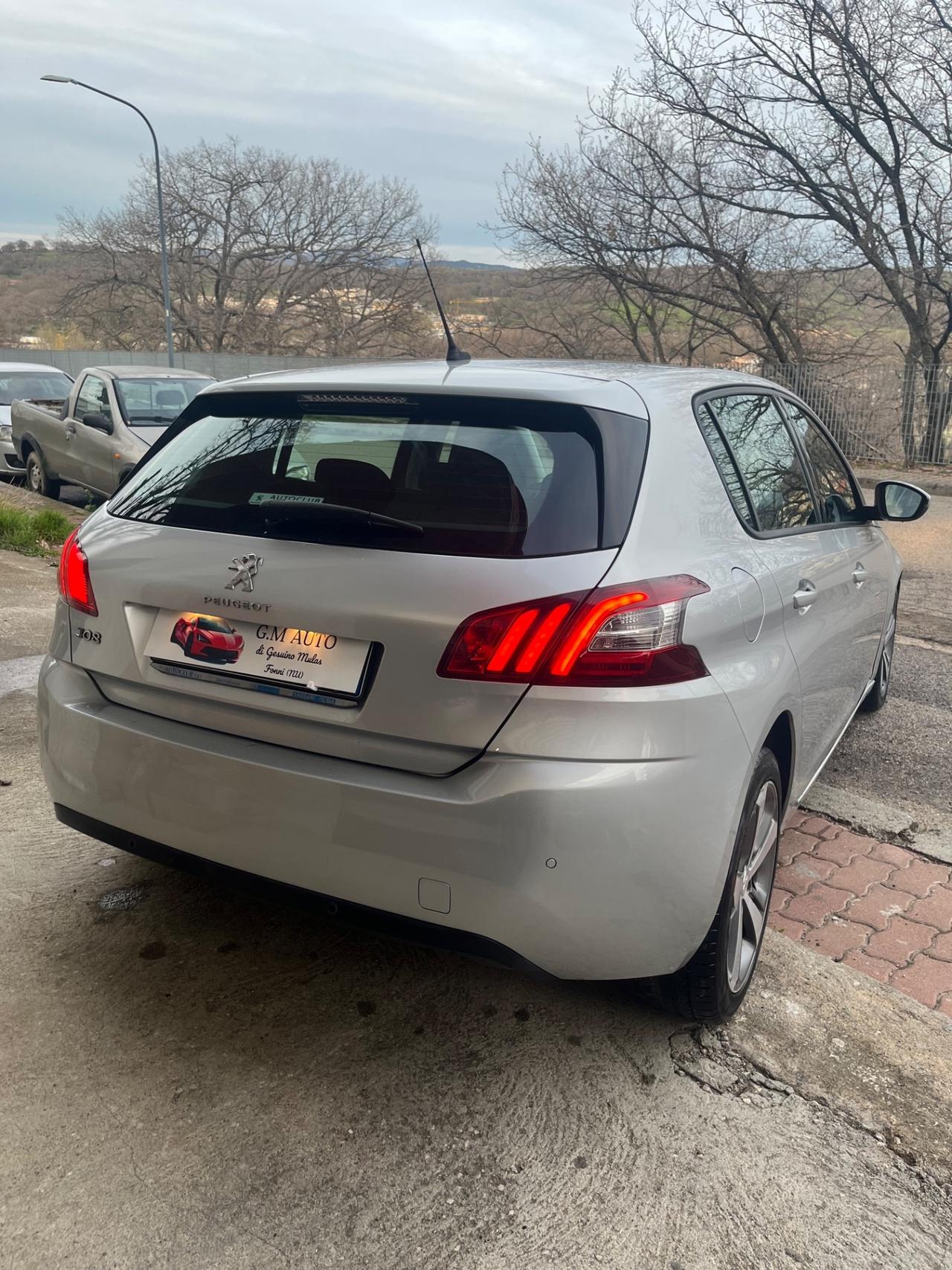 Peugeot 308 1.6 HDi 92 CV Business