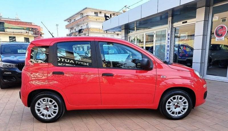 FIAT Panda Panda 1.2 Easy