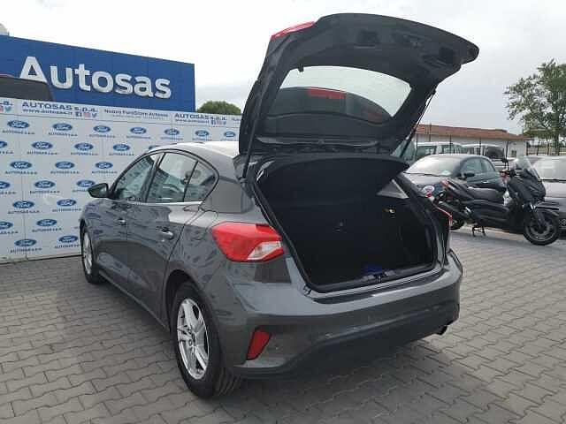 Ford Focus 1.5 EcoBlue 120 CV aut 5p. Business Co-Pilot