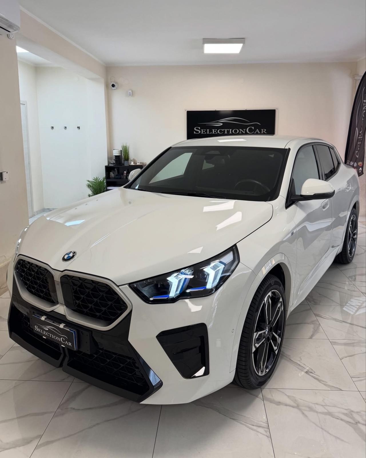 Bmw X2 sDrive 18d Msport Pro
