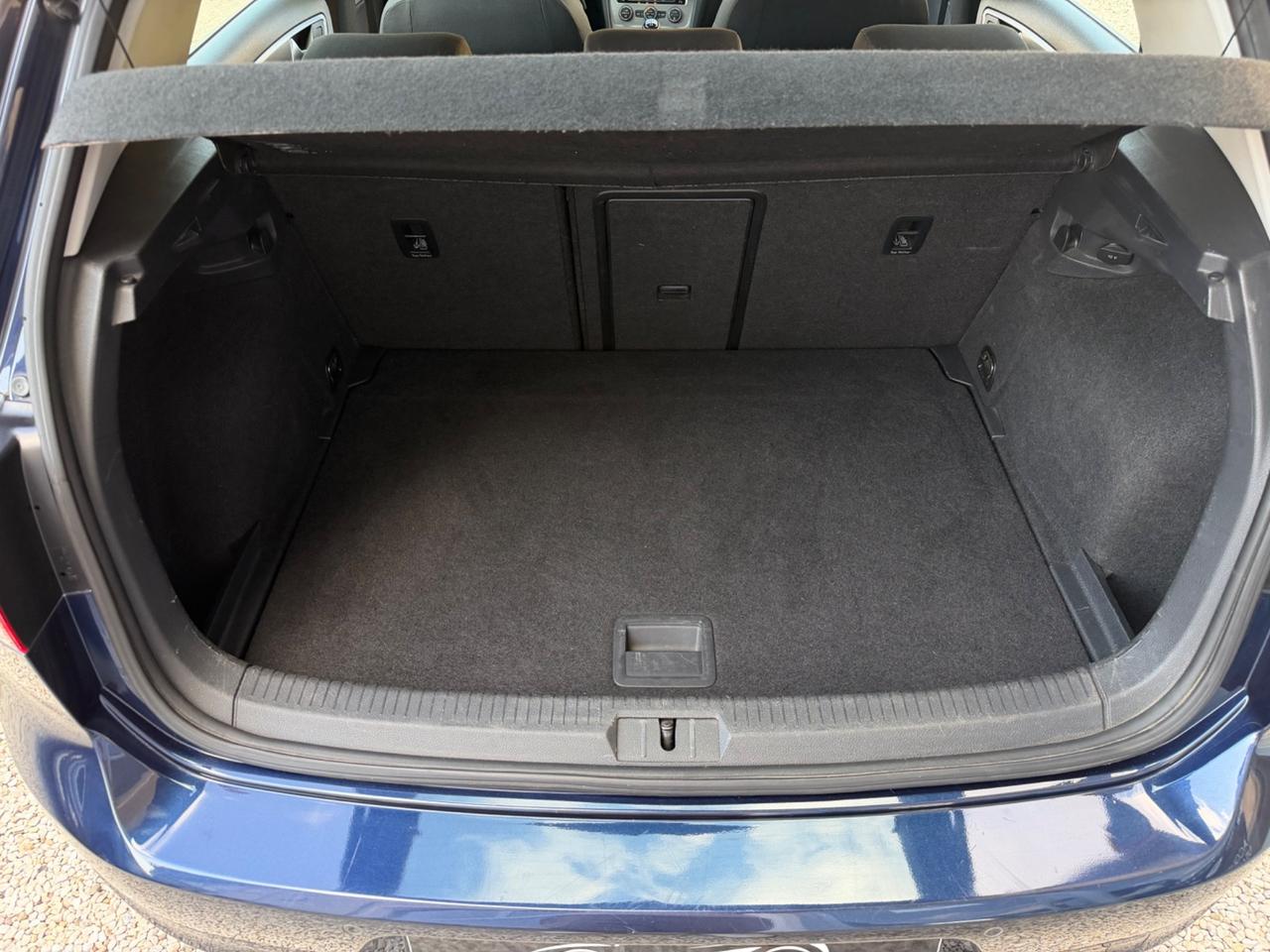 Volkswagen Golf 1.6 TDI 110 CV 5p. Comfortline BlueMotion
