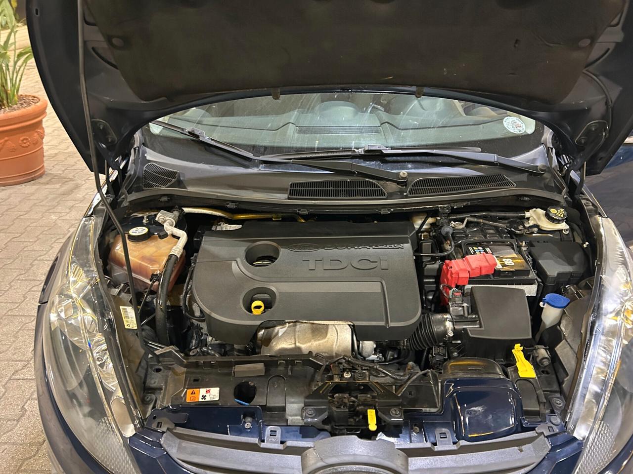 Ford Fiesta 1.4 TDCi 70CV 5 porte Titanium