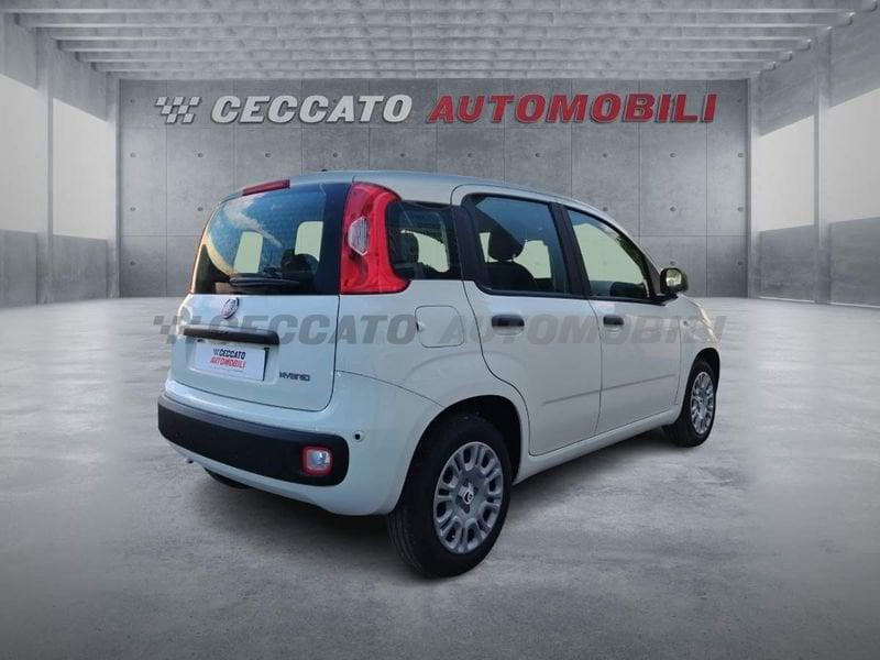 FIAT Panda Panda 1.0 70cv Hybrid Icon