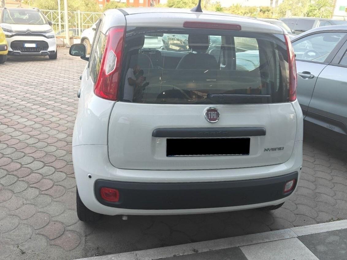 FIAT Pandina Pandina 1.0 FireFly 65 CV Hybrid Icon