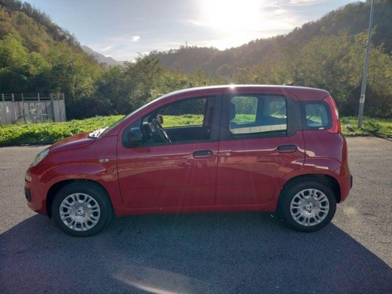 FIAT Panda Panda 1.0 FireFly S&S Hybrid Icon, Stereo Bluetooth con comandi al volante!