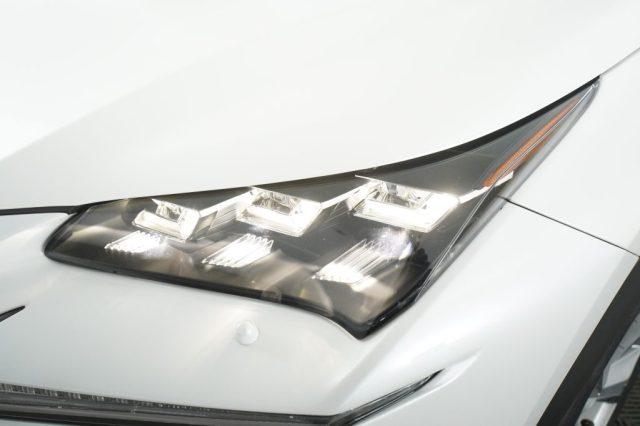 LEXUS Other NX NX Hybrid 4WD Luxury