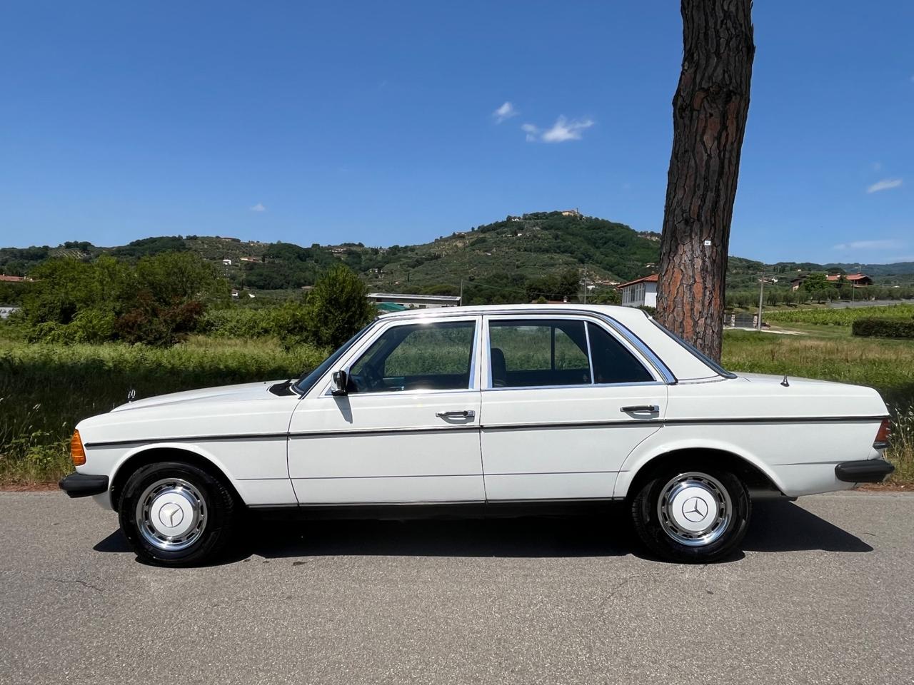 Mercedes benz 200 E w123 - Motore NUOVO