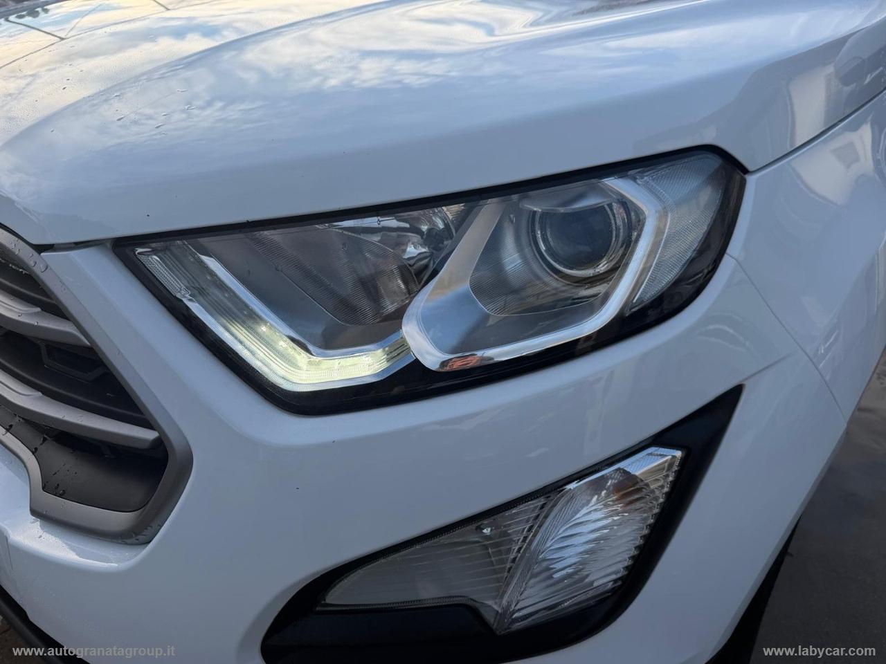 FORD EcoSport 1.5 TDCi 100 CV S&S Business PERFETTA!