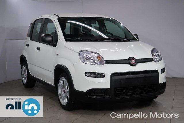 FIAT Panda Panda 1.0 70cv Hybrid Panda My23