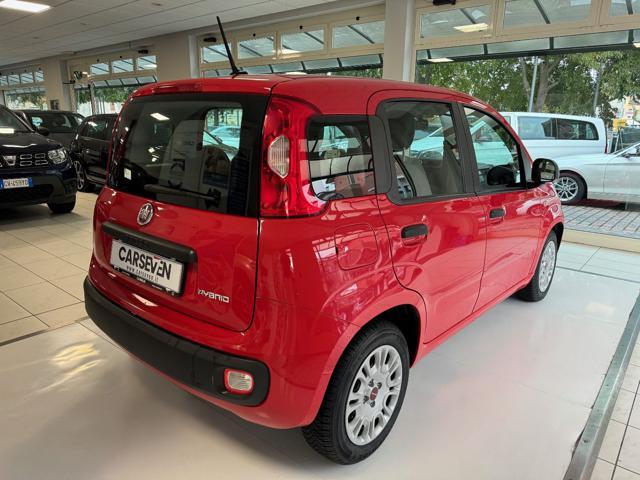FIAT Panda 1.0 FireFly S&S Hybrid #PROMO