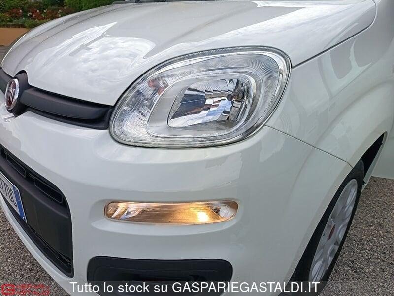FIAT Panda Panda 1.2 Easy