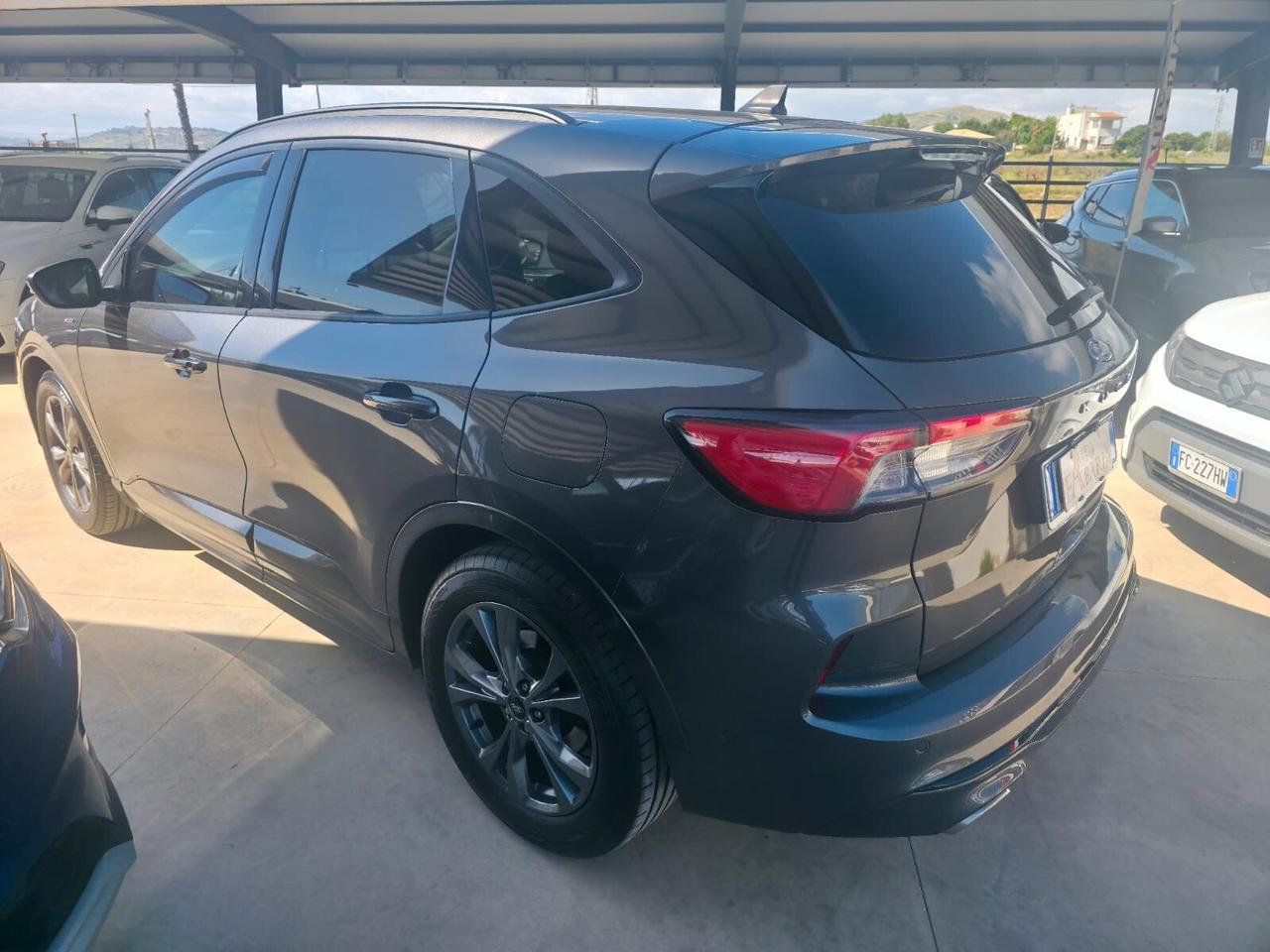 Ford Kuga 1.5 EcoBlue 120 CV 2WD ST-Line