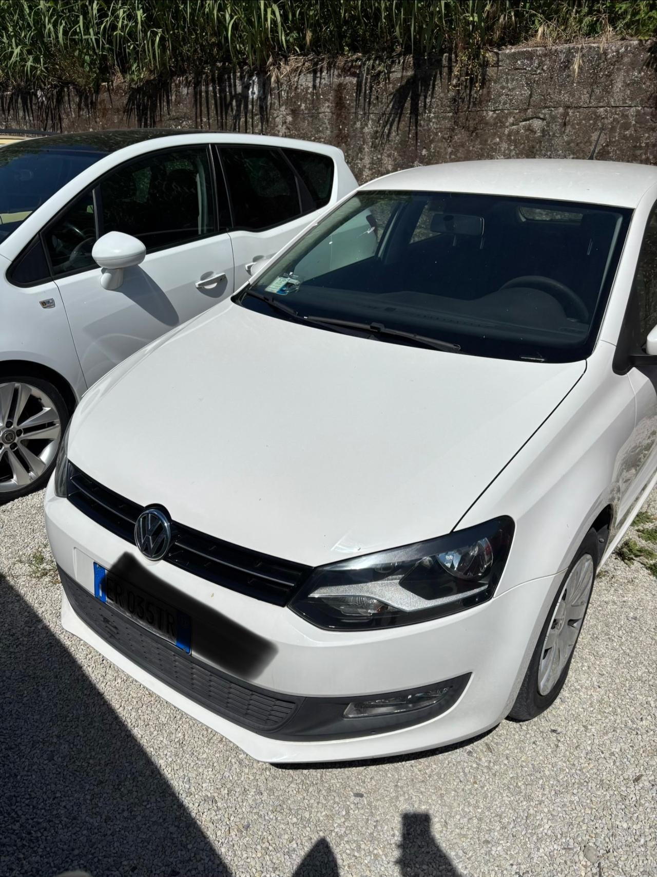 Volkswagen Polo 1.2 TDI DPF 5 p. BlueMotion neo patentato