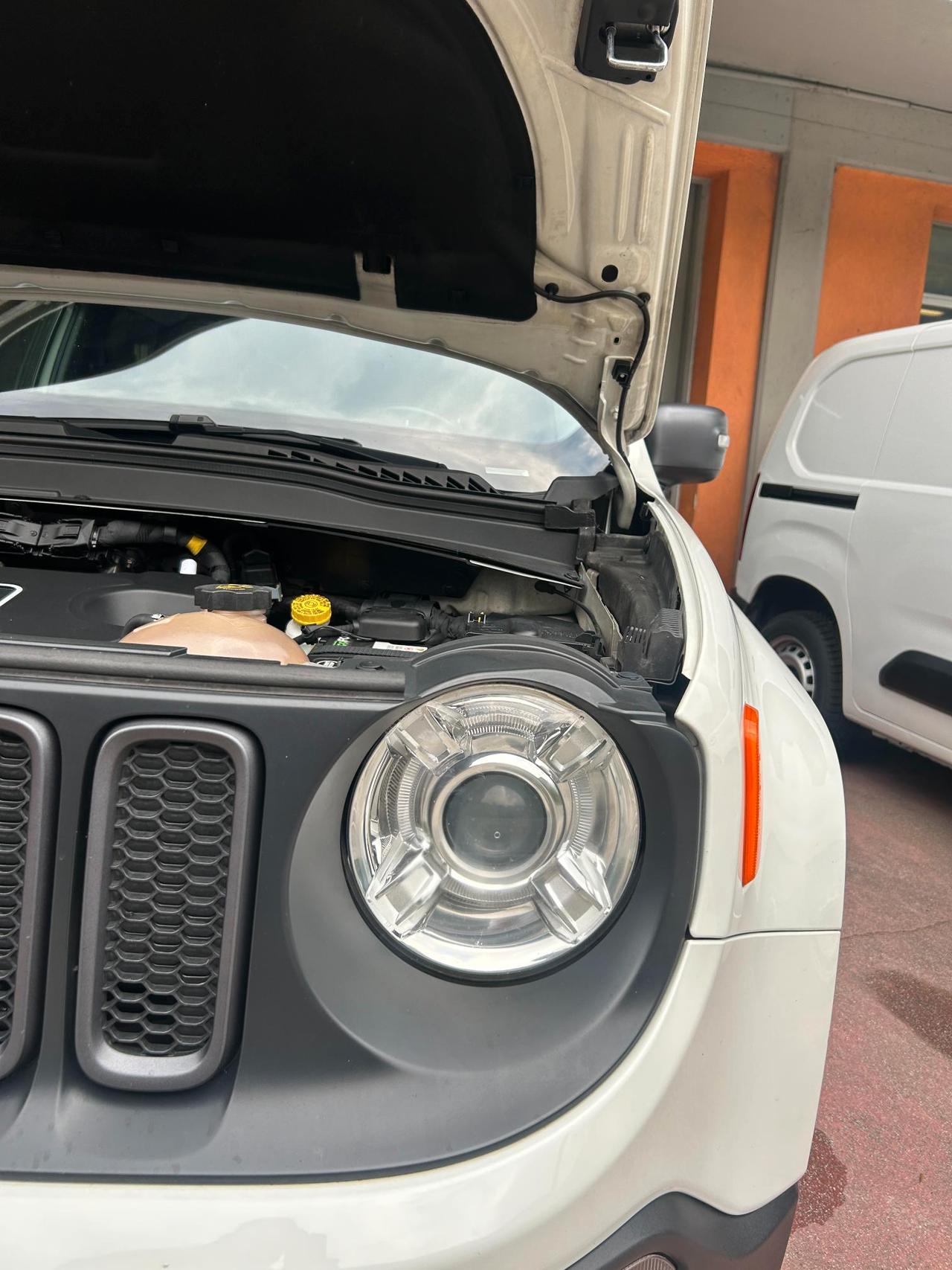 Jeep Renegade 2.0 mjt Trailhawk 4wd 170cv auto