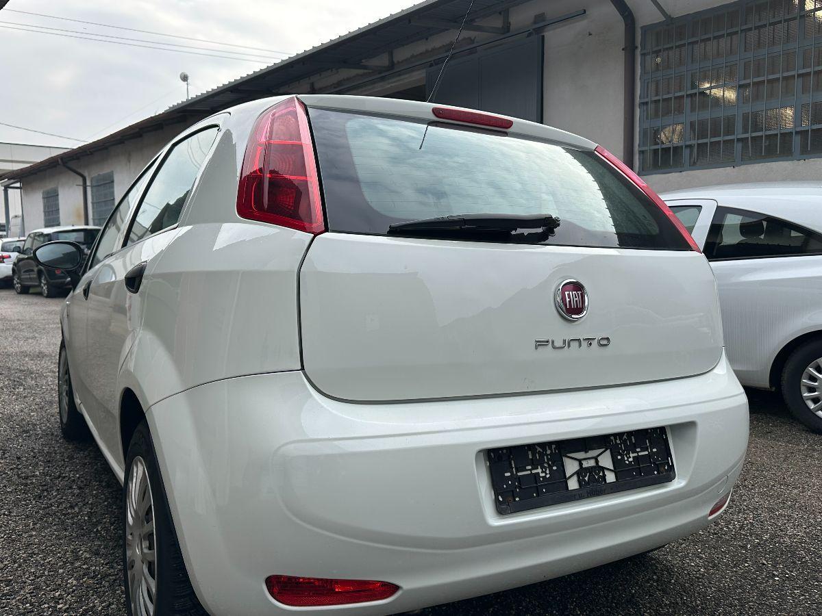 FIAT - Punto - 1.2 8V 5p. Street