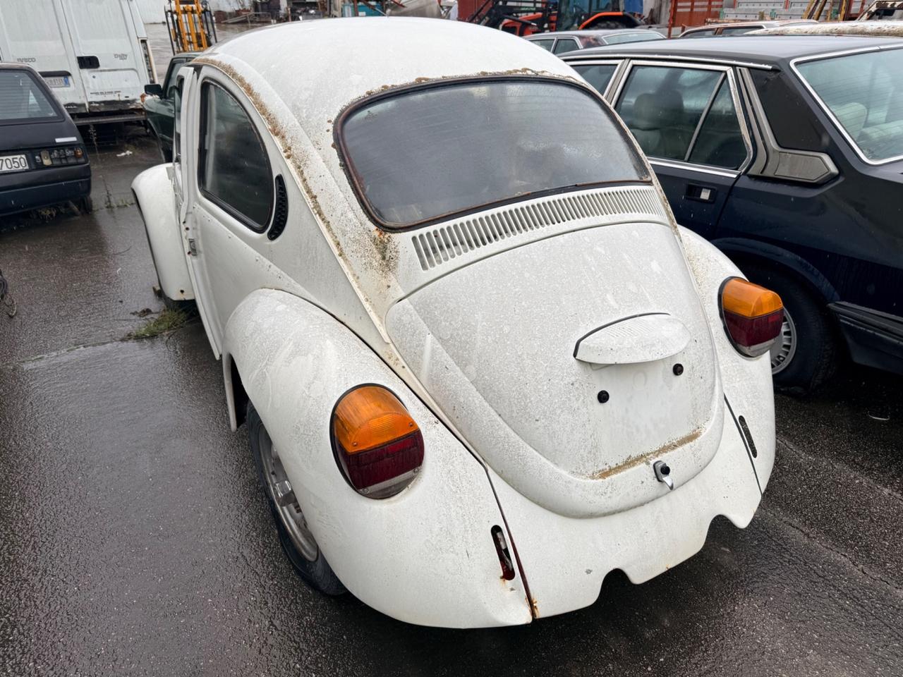 Volkswagen Maggiolino Maggiolone 1.200