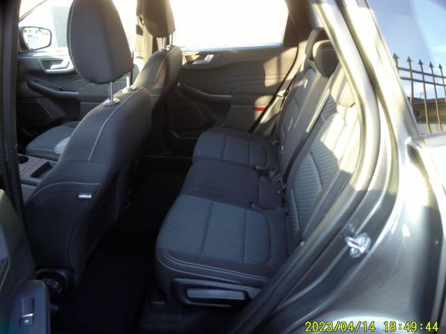 FORD Kuga 1.5 EcoBlue 120 CV aut. 2WD Titanium Business
