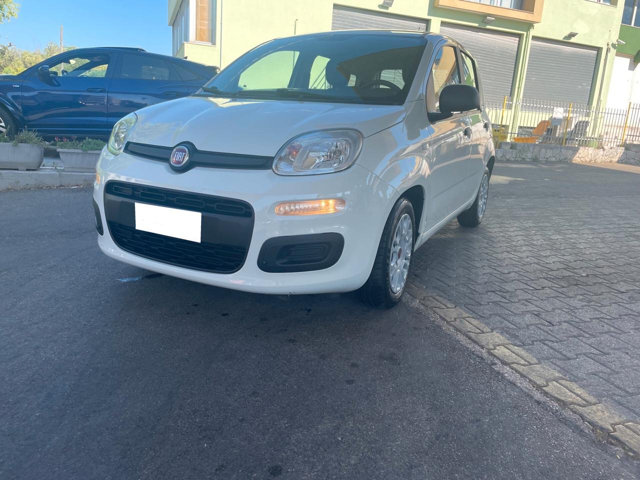 Fiat Panda 1.0 FireFly S&S Hybrid finanziabile a € 140,00