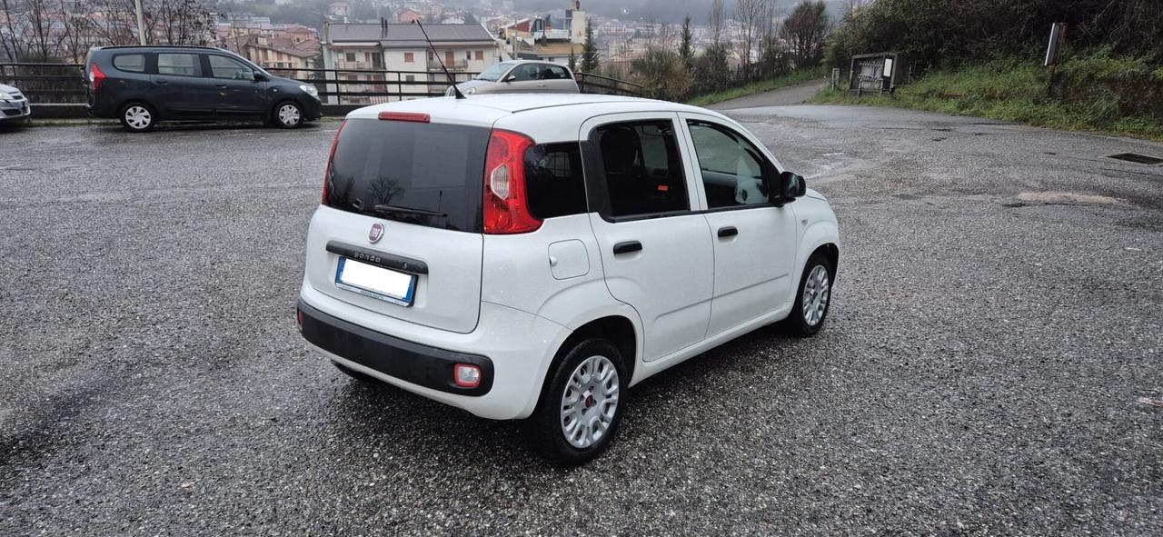 Fiat PANDA VAN 1.3 MJT 80CV - 10/2016 - Euro6