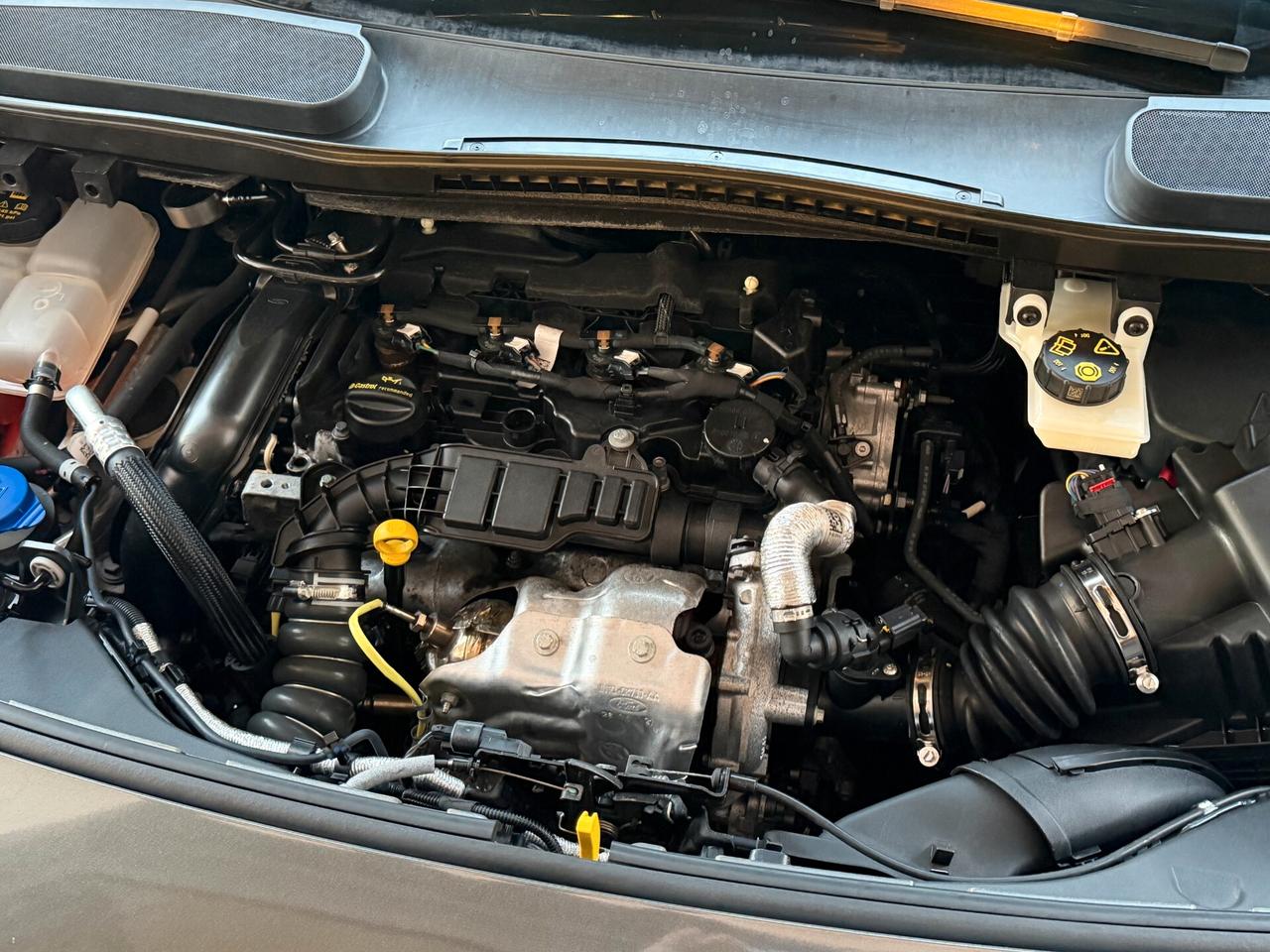 Ford Tourneo Connect 1.5 TDCI 120 cv. ACTIVE (Nav)