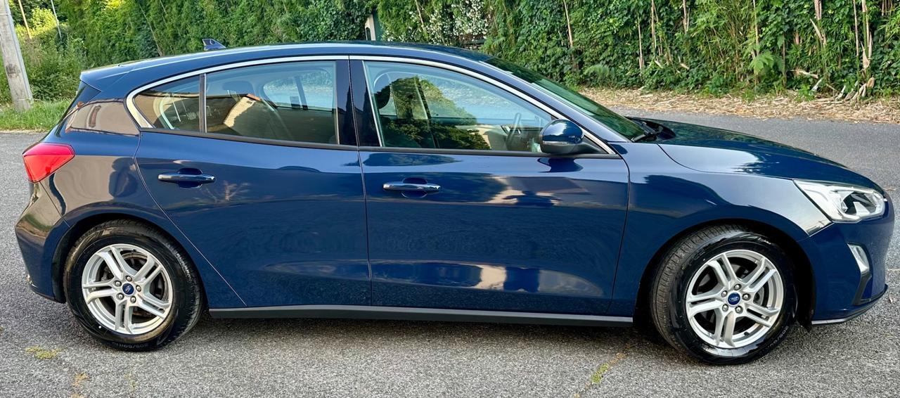 Ford Focus 1.5 EcoBlue 95 CV 5p.