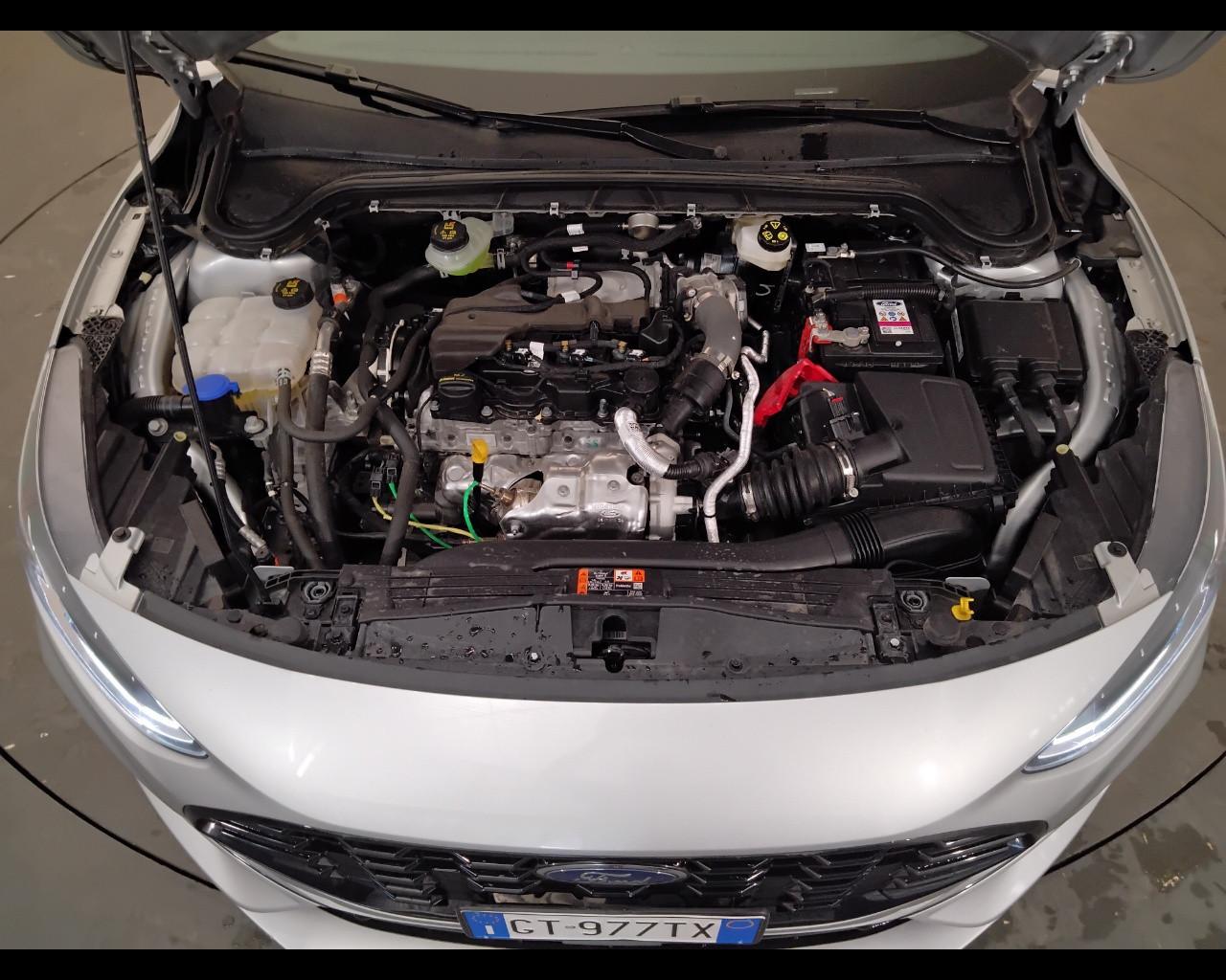 FORD Focus V 2022 - Focus 1.5 ecoblue ST-Line 115cv auto