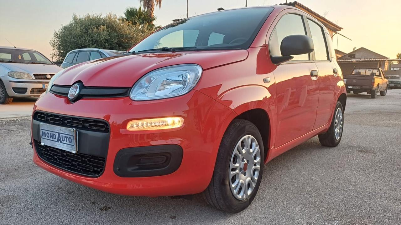 Fiat Panda 1.2 Easy 2020 62MILA KM COME NUOVA