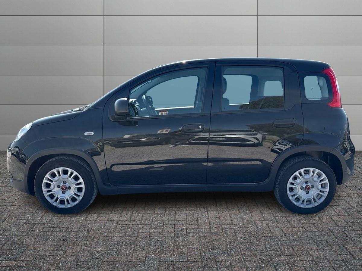 FIAT Panda III 2021 - Panda 1.0 firefly hybrid s&s 70cv
