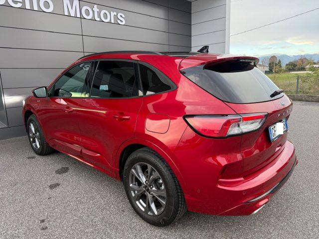 FORD Kuga 2.5 Full Hybrid 190cv CVT AWD ST-Line X TETTO-PELL