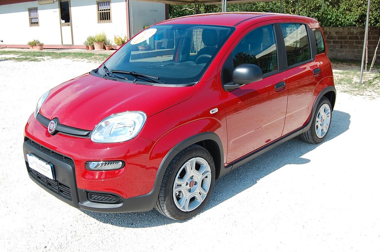 Fiat Panda 1.0 FireFly S&S Hybrid