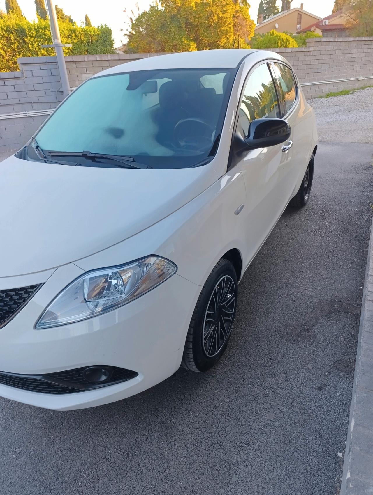 Lancia Ypsilon 1.2 69 CV 5 porte S&S Gold