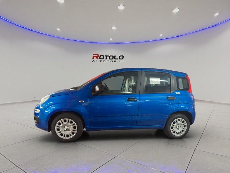 FIAT Pandina Pandina 1.0 FireFly 65 CV Hybrid Icon