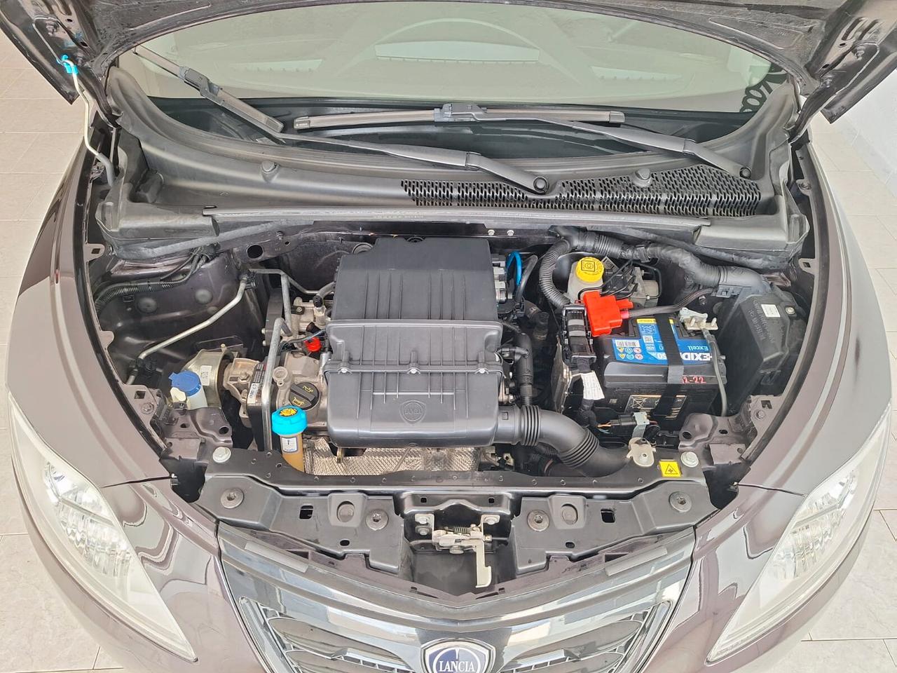 Lancia Ypsilon 1.2 69 CV 5 porte Elefantino