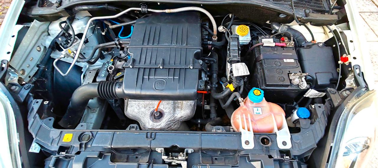 Fiat Punto 1.4 8V 5 porte Natural Power Street