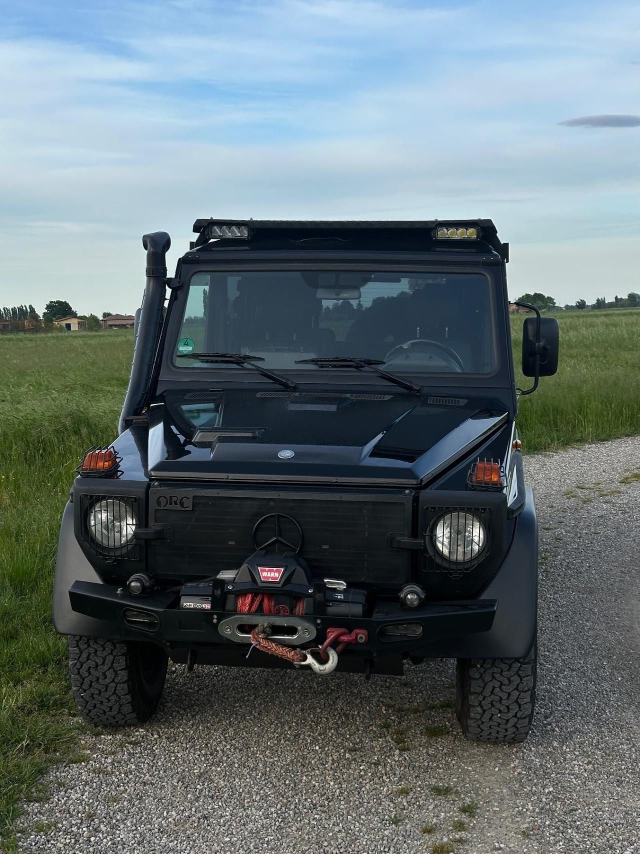 Mercedes-benz G 300 Professional