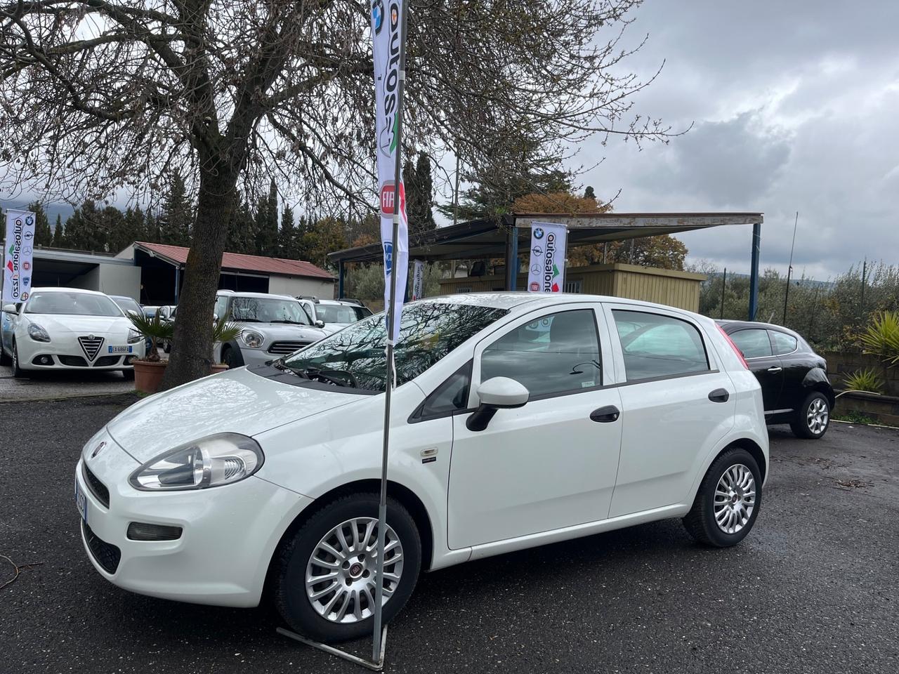 Fiat Punto 1.3 MJT 95CV S&S 5 porte Van Easy 4 posti