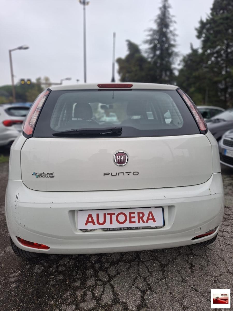 FIAT - Punto - 1.4 8V 5p. Natural Power Easy