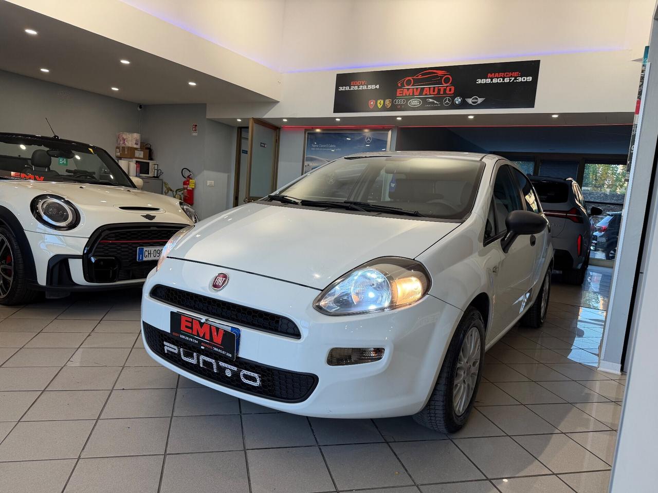 Fiat Punto 1.3 MJT II 75 CV 5 porte Street ok neopatentati