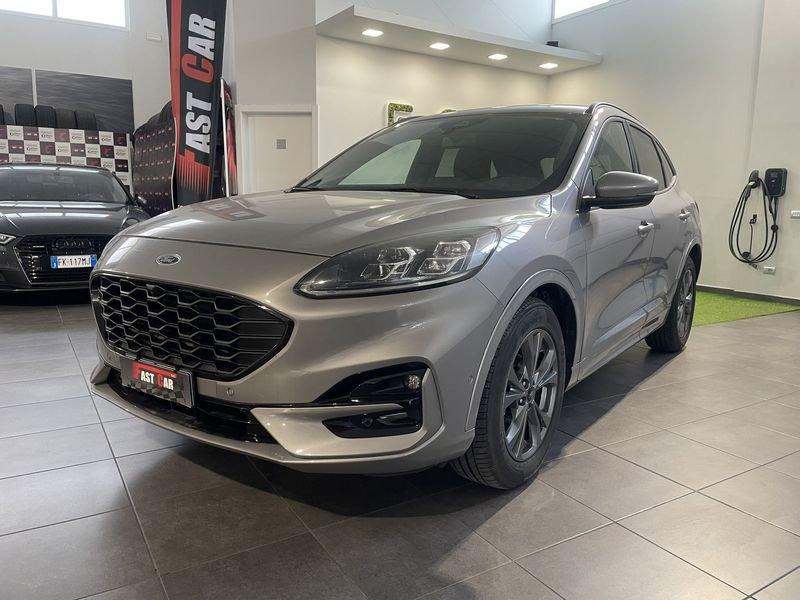 Ford Kuga Kuga 1.5 EcoBlue 120 CV aut. 2WD Titanium Business