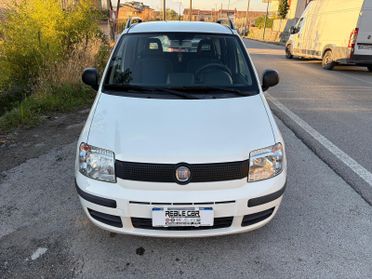 Fiat Panda 1.2 BENZINA 69CV Classic
